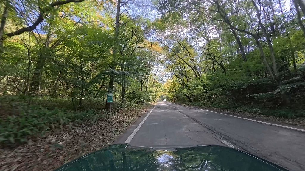 姫街道もみじライン